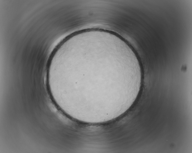 X0000115170888200911251331