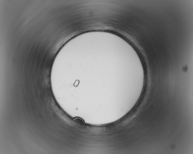 X0000115170889200911251331