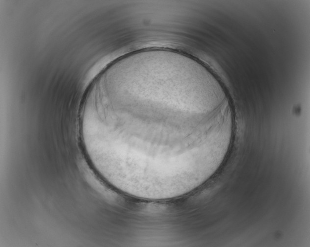 X0000115170890200911251331