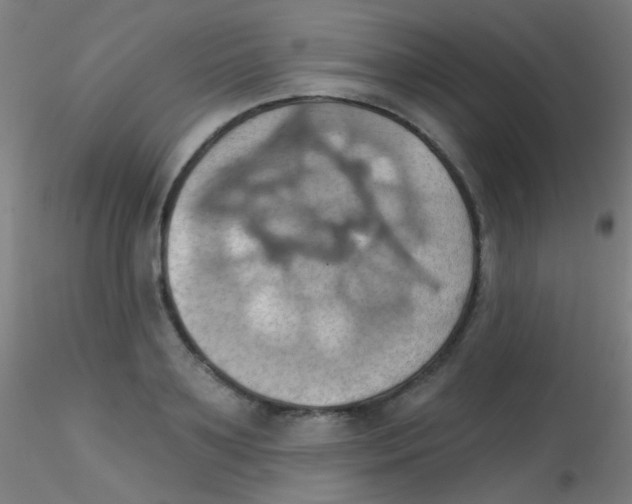 X0000115170891200911251331