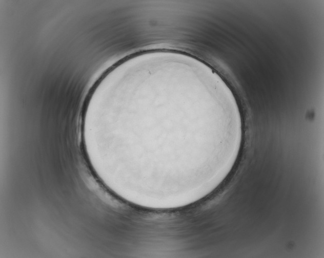 X0000115170892200911251331