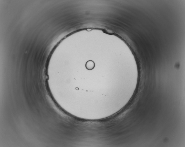 X0000115170893200911251331