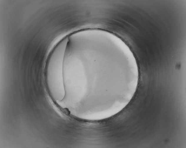 X0000115170894200911251331