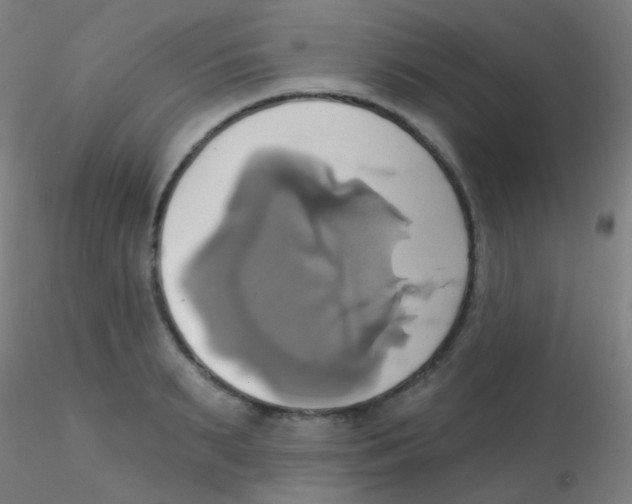 X0000115170895200911251331