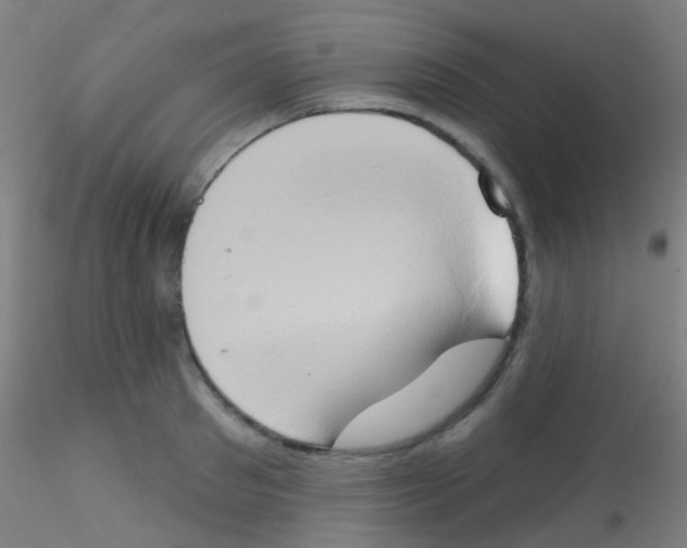 X0000115170897200911251331