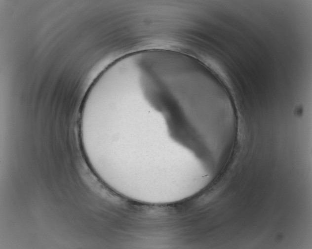 X0000115170899200911251331