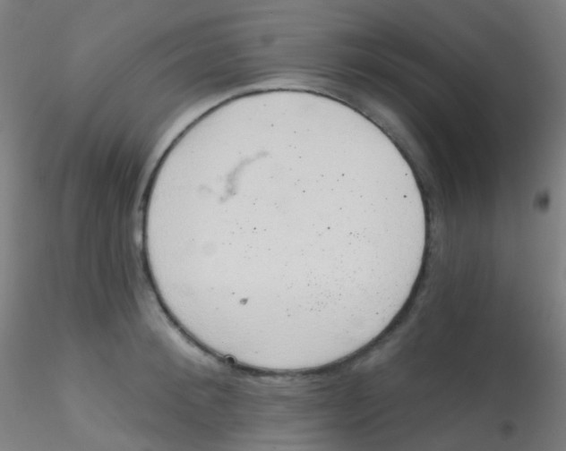 X0000115170900200911251331