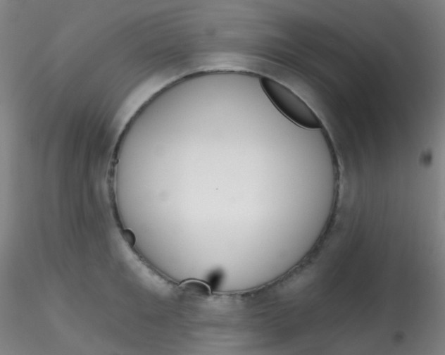 X0000115170901200911251331