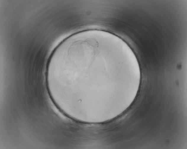 X0000115170902200911251331