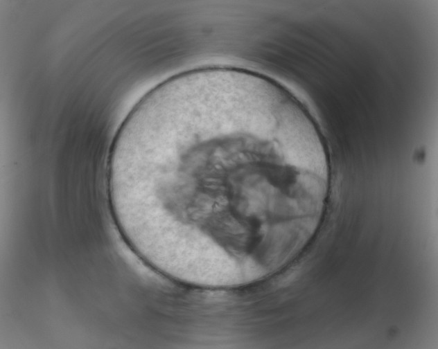 X0000115170903200911251331