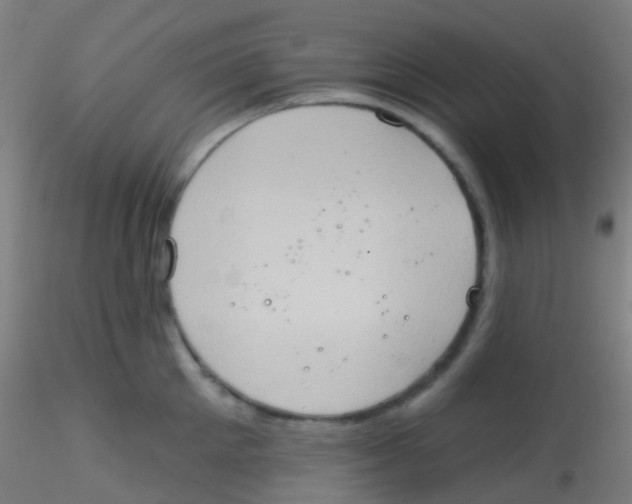 X0000115170905200911251331