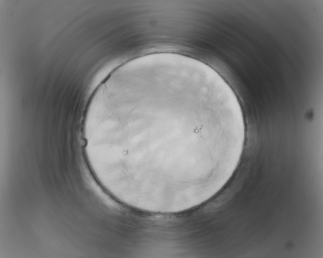 X0000115170906200911251331