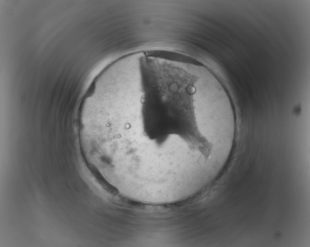 X0000115170907200911251331