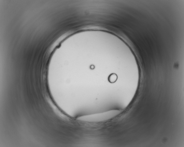 X0000115170909200911251331