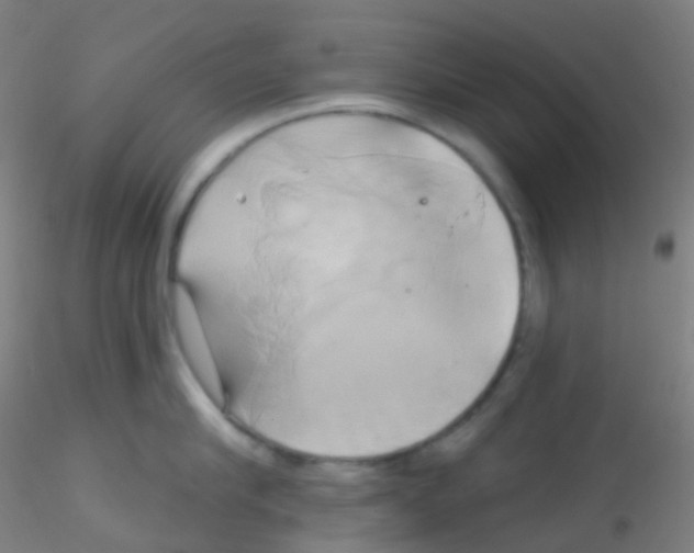 X0000115170910200911251331