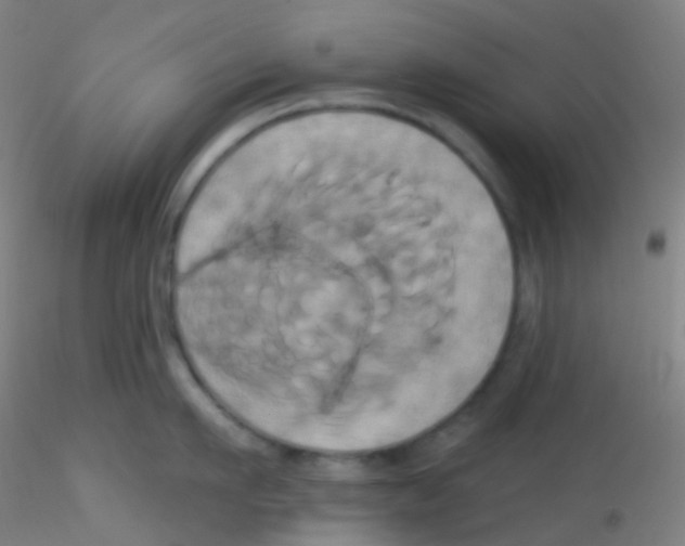 X0000115170911200911251331