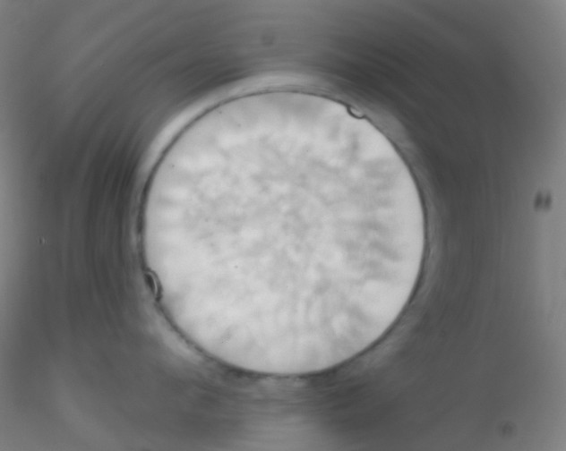 X0000115170912200911251331