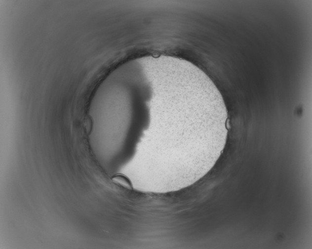 X0000115170913200911251330