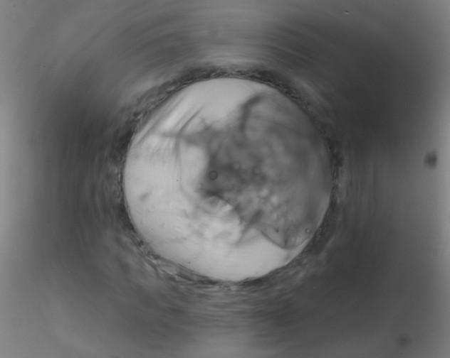 X0000115170917200911251330