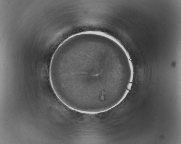 X0000115170918200911251330