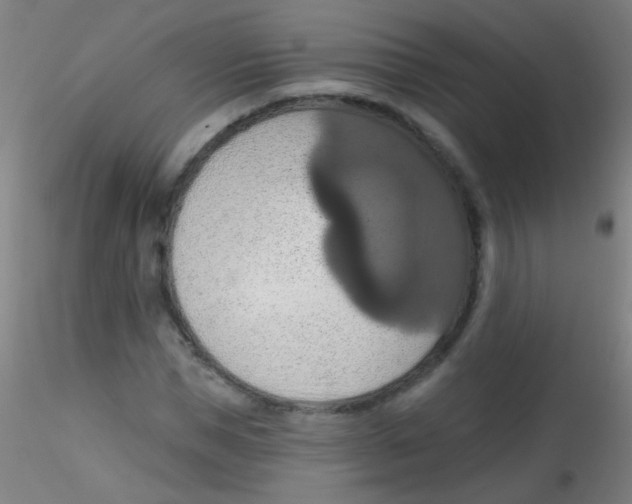 X0000115170921200911251330