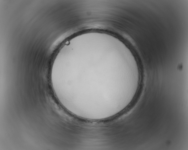 X0000115170922200911251330