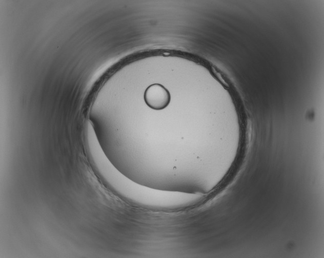 X0000115170925200911251330