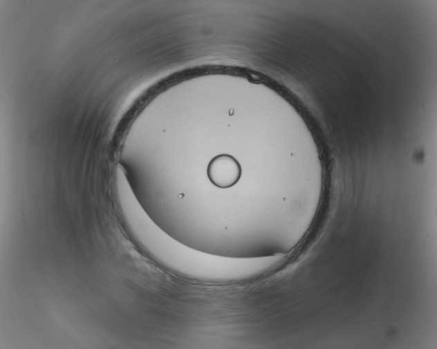 X0000115170926200911251330