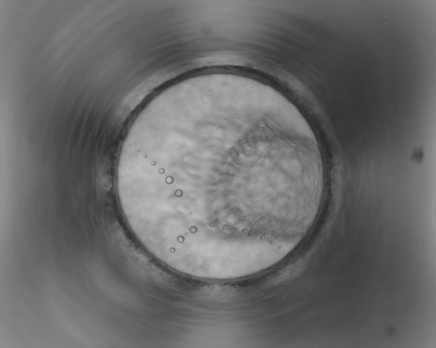 X0000115170929200911251330