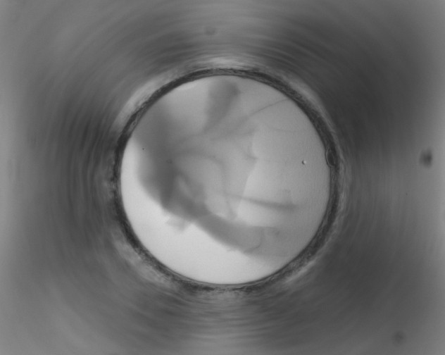 X0000115170930200911251330