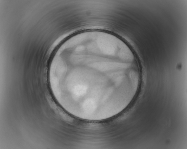 X0000115170933200911251330