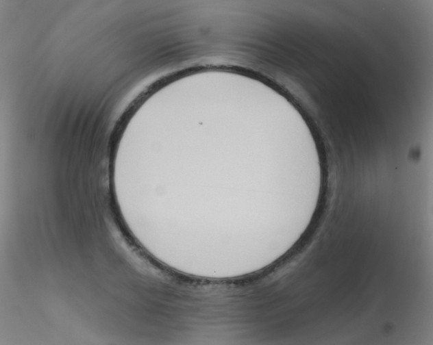 X0000115170934200911251330