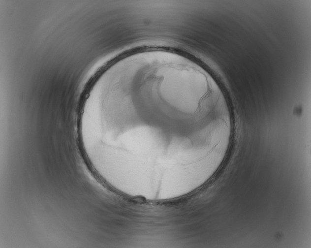 X0000115170935200911251330