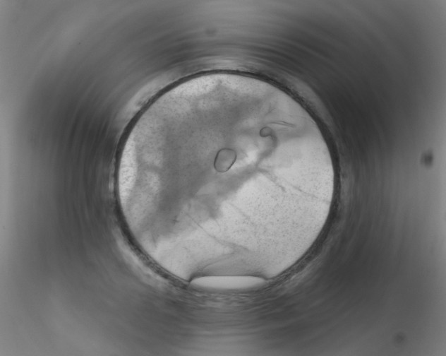 X0000115170938200911251331