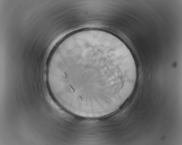 X0000115170939200911251331