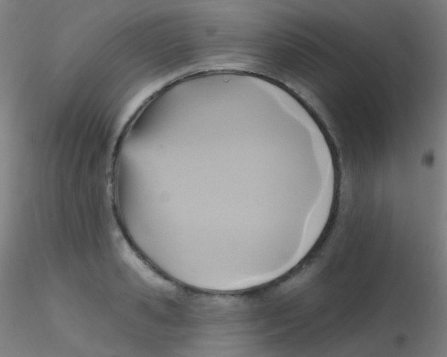 X0000115170941200911251331