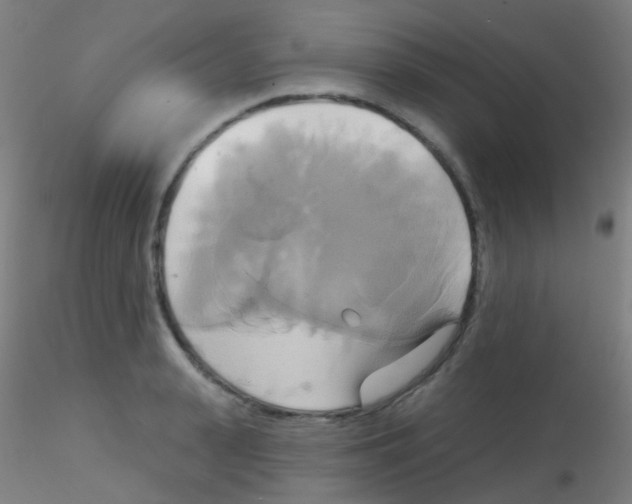 X0000115170943200911251331