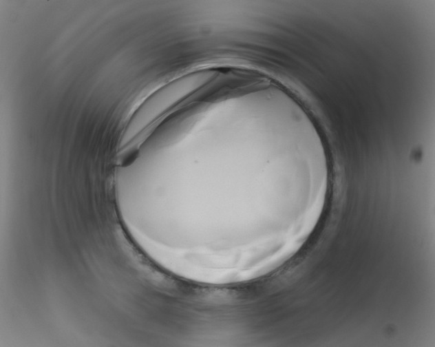 X0000115170945200911251331