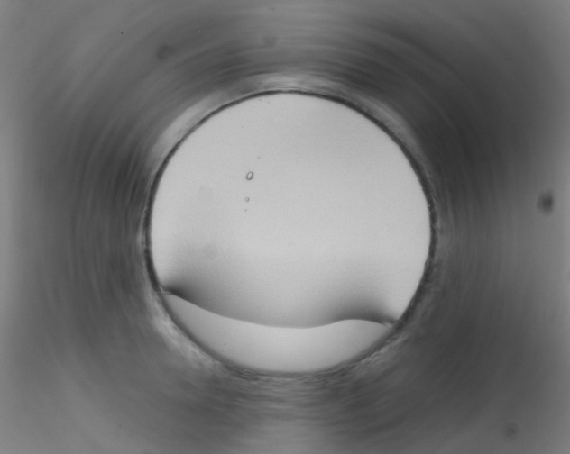 X0000115170946200911251331