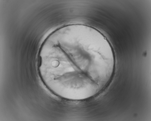 X0000115170949200911251331