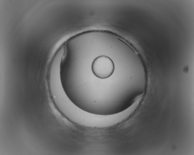 X0000115170950200911251331