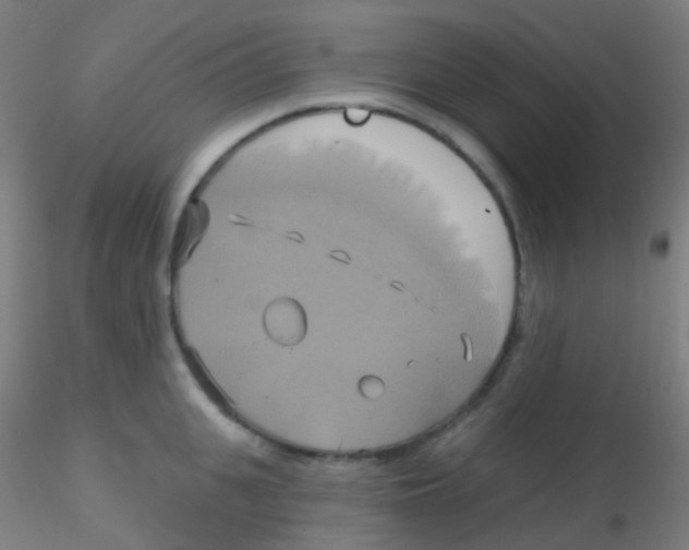 X0000115170951200911251331