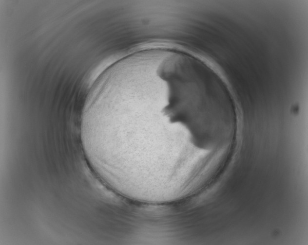 X0000115170953200911251331