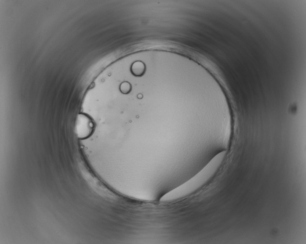 X0000115170954200911251331