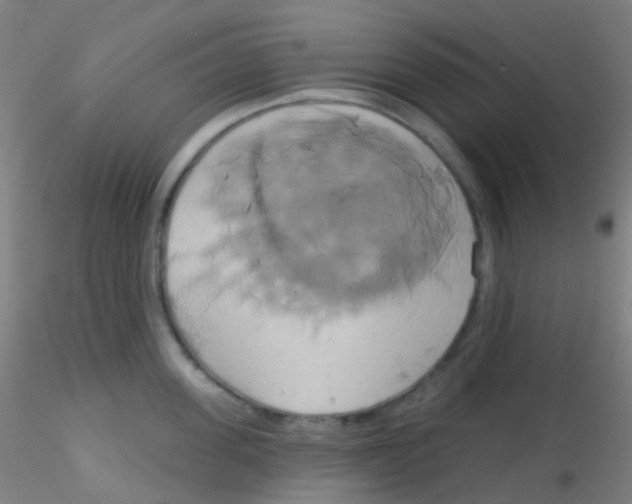 X0000115170955200911251331