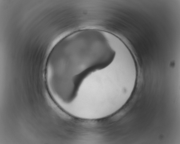 X0000115170957200911251331