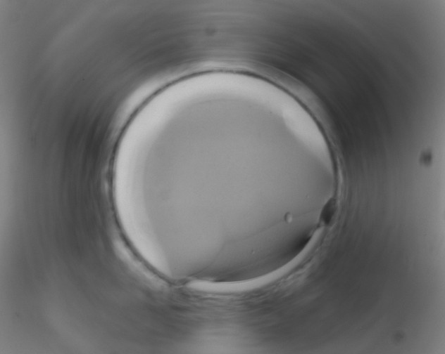 X0000115170958200911251331