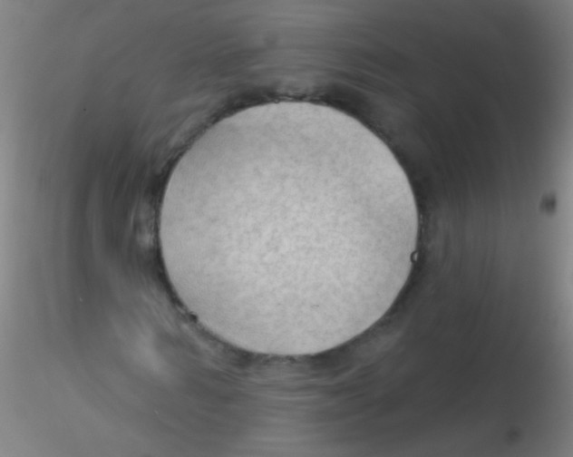 X0000115170962200911251330