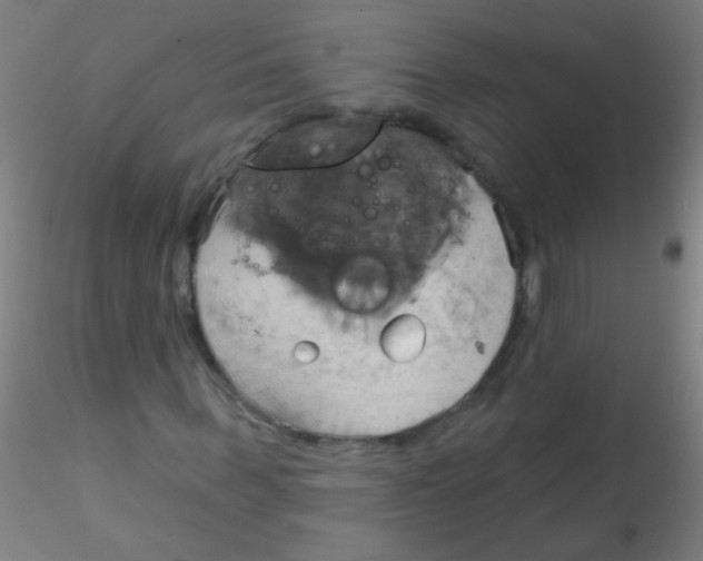 X0000115170963200911251330