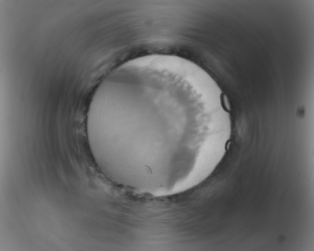 X0000115170964200911251330